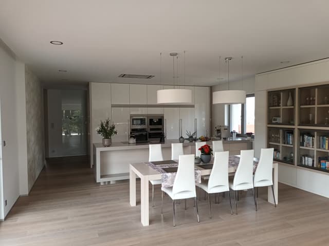 17. Fotka Ukázka práce v sekci galerii Malířství Profi Malby Brno | Petr Lejska