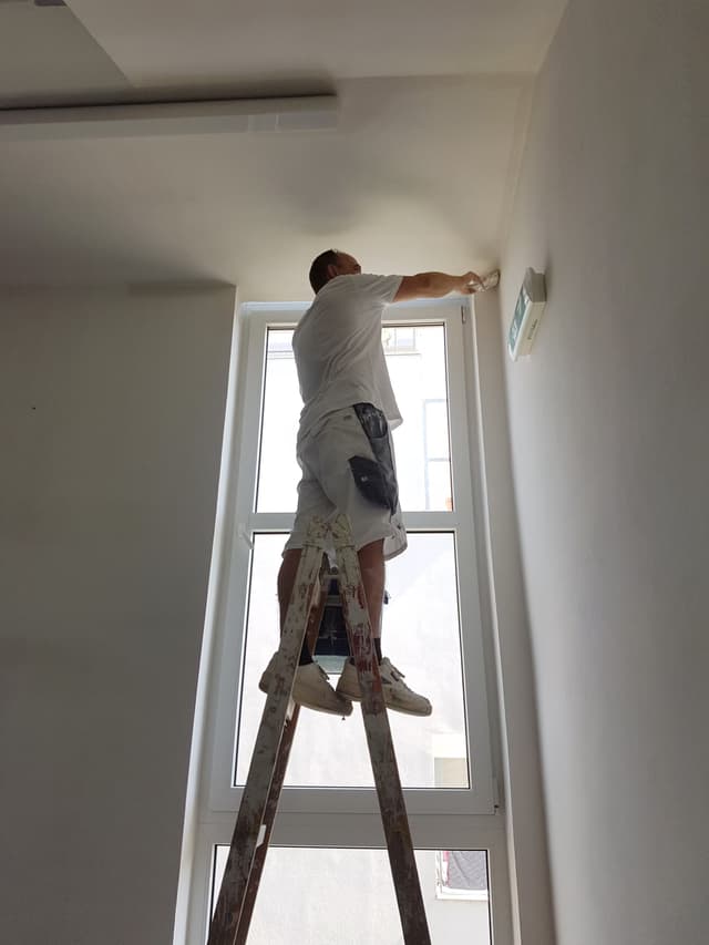 28. Fotka Ukázka práce v sekci galerii Malířství Profi Malby Brno | Petr Lejska